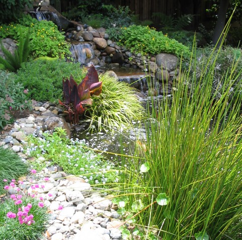 Small waterfall and pond surrounded by lush green plants, rocks, and colorful flowers.